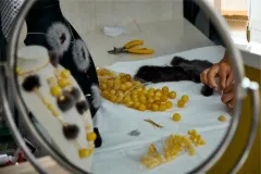 як4