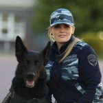 Уверенно повела в лес: калининградская овчарка спасла пенсионера из леса