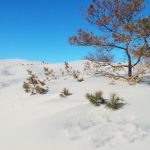 Отель на Куршской косе: обсуждения прошли «для галочки»